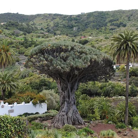 Terraza Sol Gigantes 公寓 阿坎提拉德洛斯基